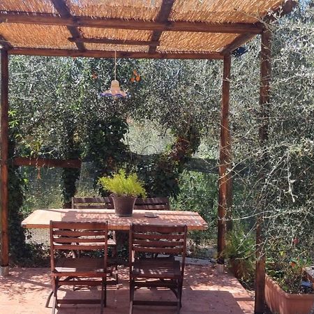La Merla Del Tasso Camaiore Luaran gambar