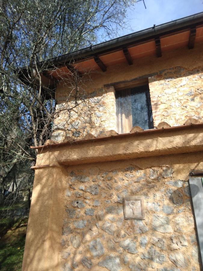 La Merla Del Tasso Camaiore Luaran gambar
