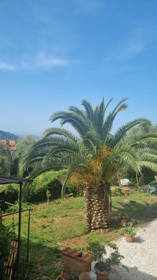La Merla Del Tasso Camaiore Luaran gambar